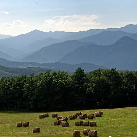 Lo Boix: And Le Canigou *